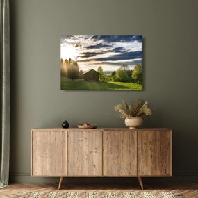 Tablou cu cabana pe luncă (90x60 cm)