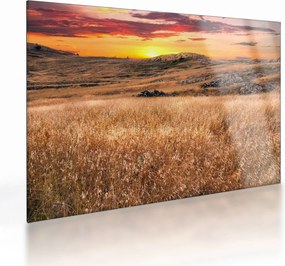 Tablou pe sticlă cu câmp (70x50 cm)