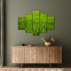 Tablou cu iaraba (150x105 cm)