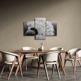 Tablou cu păpădie - albnegru (90x60 cm)