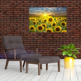 Tablou - Floarea-soarelui la apus de soare (90x60 cm)