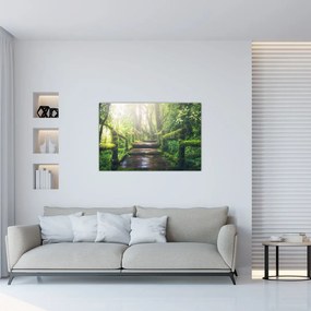 Tablou - trepte din lemn în pădure (90x60 cm)