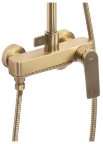 REA-P2400 - Set de duș AVALON cu baterie, finisaj auriu periat