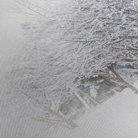 Tablou - Aleea de iarnă (90x60 cm)
