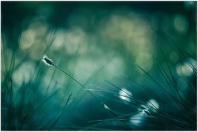Tablou - Detaliu iarbă (90x60 cm)