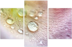 Tablou - Picături (90x60 cm)