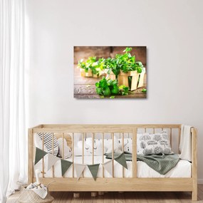 Tablou pe sticlă cu menta proaspătă (70x50 cm)