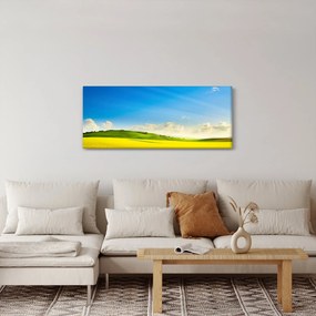 Tablou - Cerul de primăvară (120x50 cm)