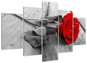 Tablou - trandafir cu flori ro?ii (150x105cm)