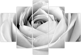 Tablou - Detailu de floare de trandafir (150x105 cm)