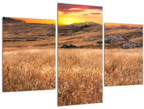 Tablou cu câmp (90x60 cm)