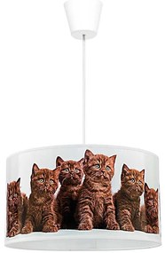 Lustră pe cablu pentru copii Duolla CATS 1xE27/40W/230V d. 35 cm