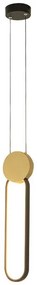 Lustra suspendata LED design modern Ring negru/ auriu