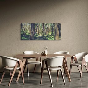 Tablou cu drum între copaci (120x50 cm)