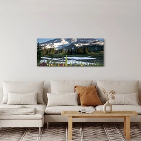 Tablou - Muntele Rainier (120x50 cm)