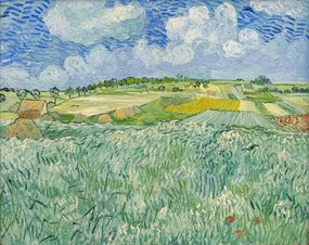 Reproducere Plain at Auvers, 1890, Vincent van Gogh