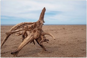 Tablou - Inundație de mare (90x60 cm)