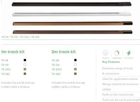 Spot pentru sina Track Project Collection, Anna bronz