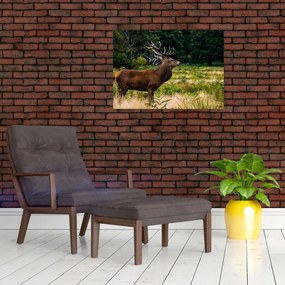 Tablou cu cerb (70x50 cm)