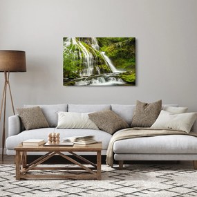 Tablou - Cascada, Wind River Valley (90x60 cm)