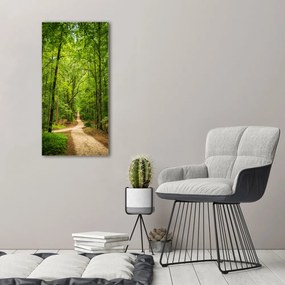 Fotografie imprimată pe sticlă Calea în pădure