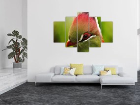 Tablou cu pasărea colorată (150x105 cm)