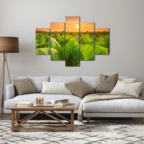 Tablou - Câmp (150x105 cm)
