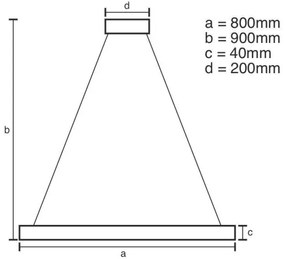 Brilagi - Lustră LED dimabilă suspendată pe cablu CIRCLE LED/55W/230V 3000-6500K + telecomandă