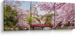 Tablou cu cireș japonez (cu ceas) (90x30 cm)