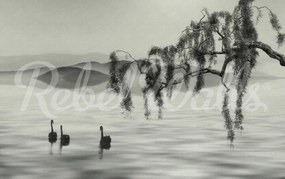 Fototapet, Zen Lake, Rebel Walls