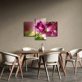 Tablou cu lalele roz (90x60 cm)