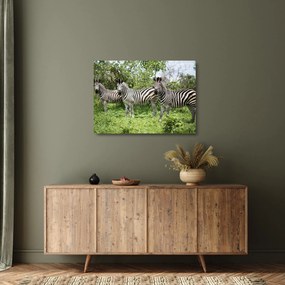 Tablou pe sticlă cu zebre (70x50 cm)