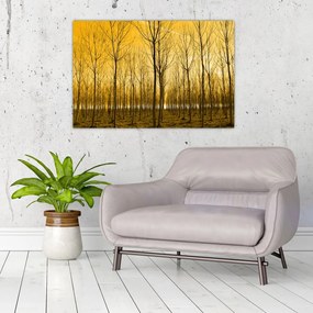 Tablou cu pădure în apus de soare (90x60 cm)