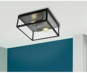 Plafonieră Eglo 49392 CHARTERHOUSE 2xE27/60W/230V