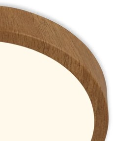 Plafonieră LED RUNA LED/24W/230V Brilo