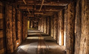 Fototapet - Tunel (254x184 cm)