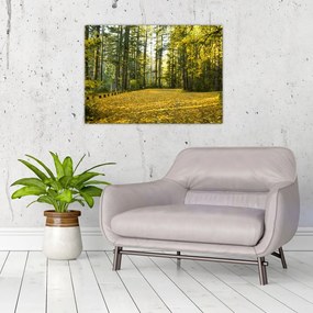 Tablou pe sticlă - pădurea toamna (70x50 cm)
