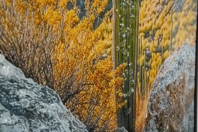 Mauro Ferretti Pictura Pe Panza Lacuita, Cu Rama, Cactus -B- Cm 60X4X88 | Aosom Romania