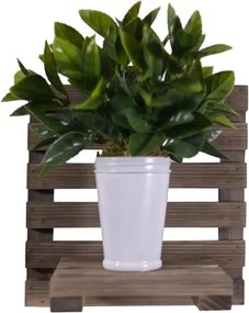 Raft de perete lemn,seria wood Homs 30 x 23 x 30 cm,700001