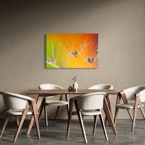 Tablou cu picături pe plantă (90x60 cm)