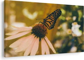 Tablou cu fluture pe floare (90x60 cm)