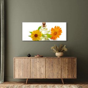 Tablou cu ulei de flori (120x50 cm)