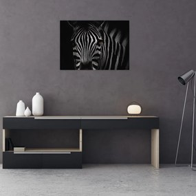 Tablou pe sticlă cu zebră (70x50 cm)