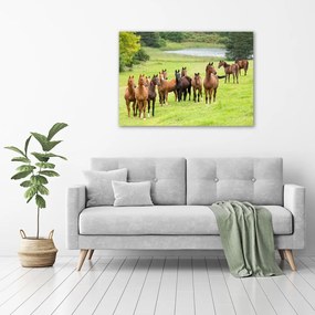 Pictură pe pânză Herghelie de cai în lunca