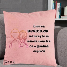 Cadou pentru Bunici - Perna Personalizata Iubirea Bunicilor Infloreste Cuplu Line Art Gradient, 40x40 cm, Roz, Husa Detasabila, Perna Inclusa, BEKZ®