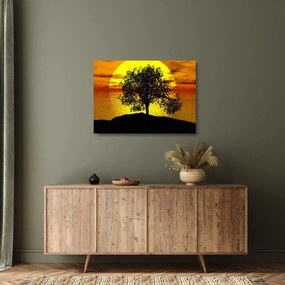 Tablou pe sticlă - Silueta copacilor (70x50 cm)