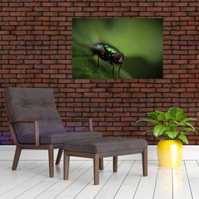 Tablou - Musca (90x60 cm)