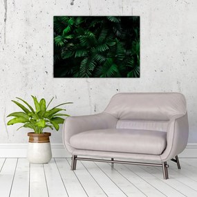 Tablou pe sticlă - Păpădii tropicale (70x50 cm)