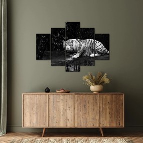 Tablou - Tigru alb, alb-negru (150x105 cm)