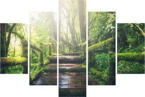Tablou - trepte din lemn în pădure (150x105 cm)